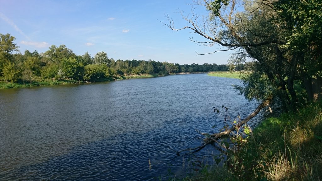 widok na bug, nadbużański szlak rowerowy