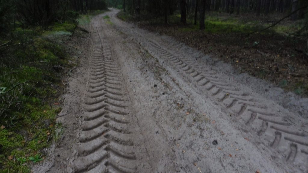 nadbużański szlak rowerowy, droga leśna