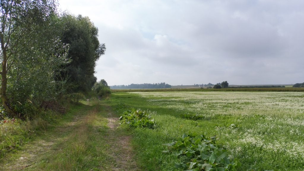 nadbużański szlak rowerowy, droga polna