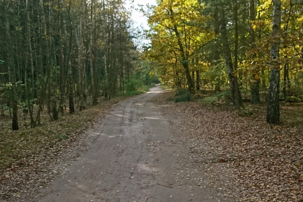 wzdłuż bugu trasa rowerowa