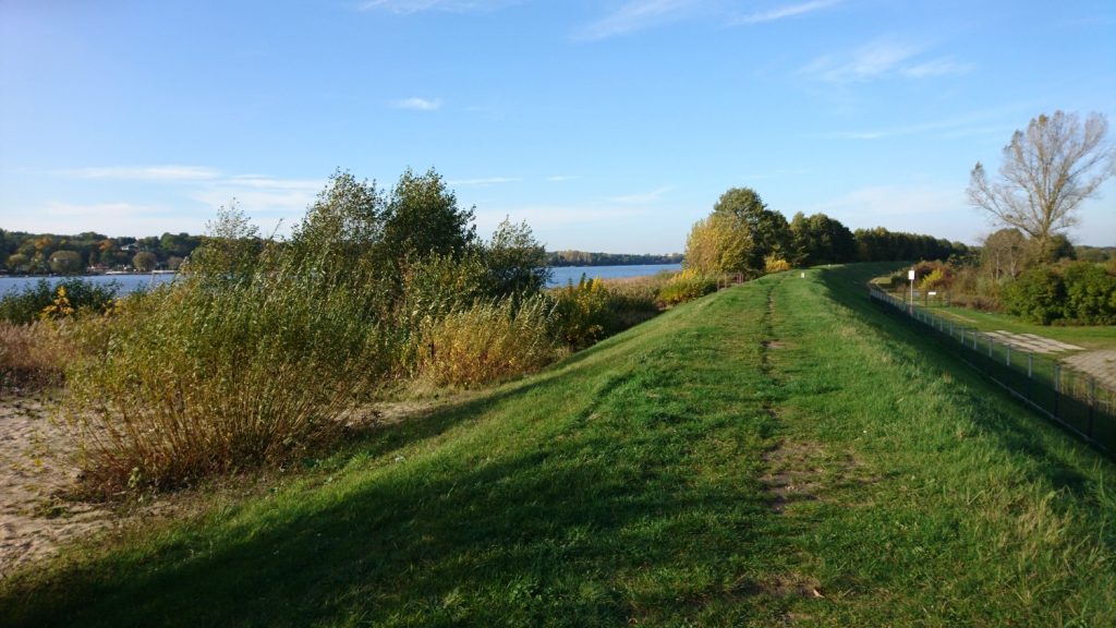 wzdłuż bugu trasa rowerowa