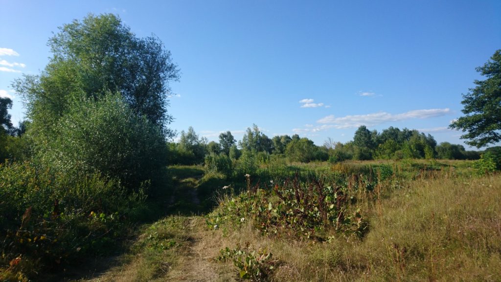 wzdłuż bugu trasa rowerowa