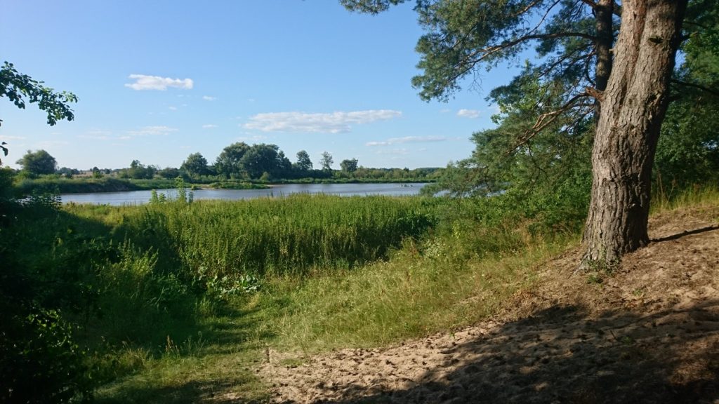 wzdłuż bugu trasa rowerowa