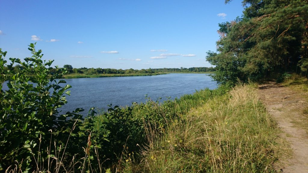 wzdłuż bugu trasa rowerowa