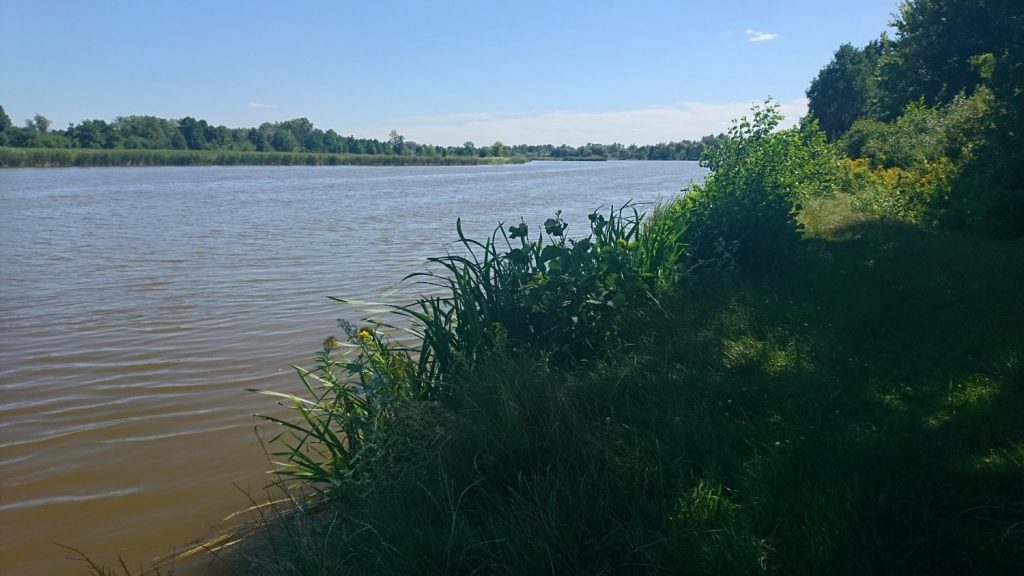 wzdłuż bugu trasa rowerowa