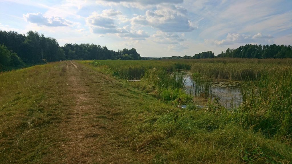 wzdłuż rzeki rządza trasa rowerowa