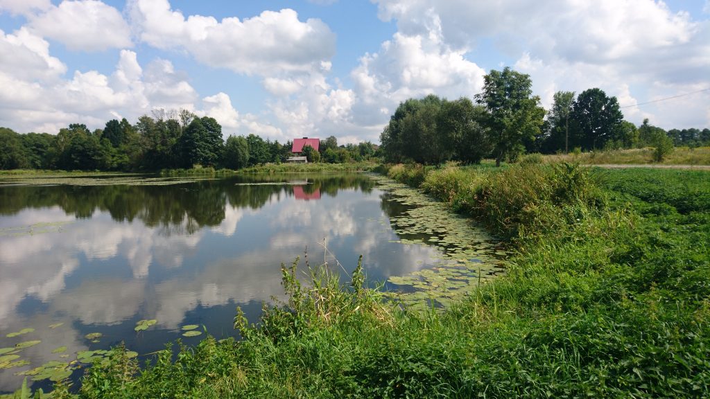 wzdłuż rzeki rządza trasa rowerowa