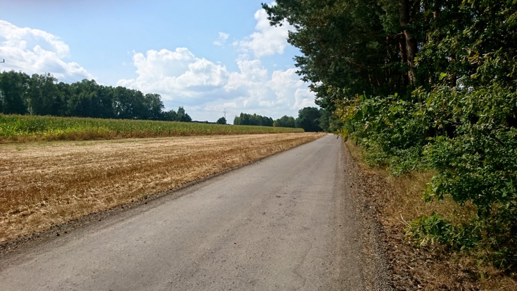 wzdłuż rzeki rządza trasa rowerowa