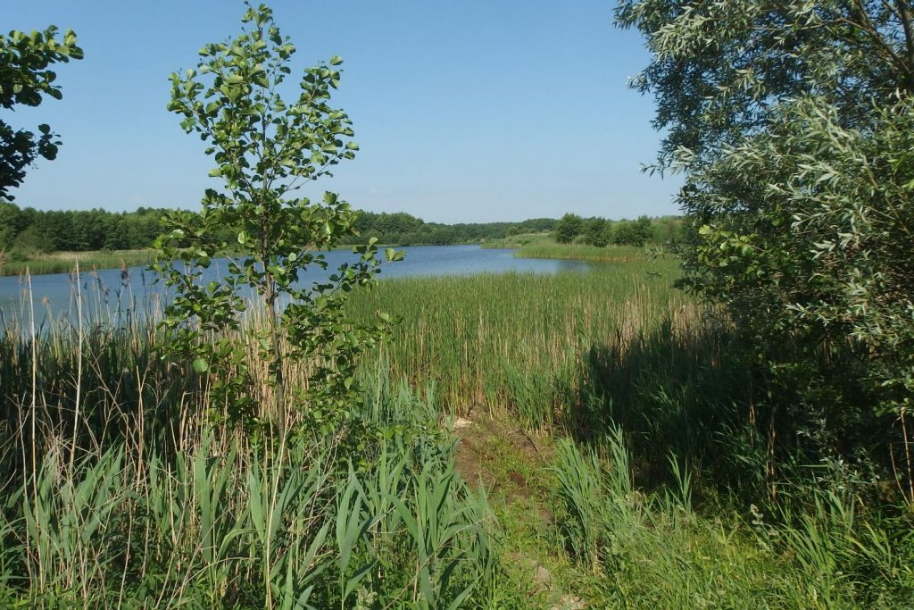 siedlce warszawa trasa rowerowa