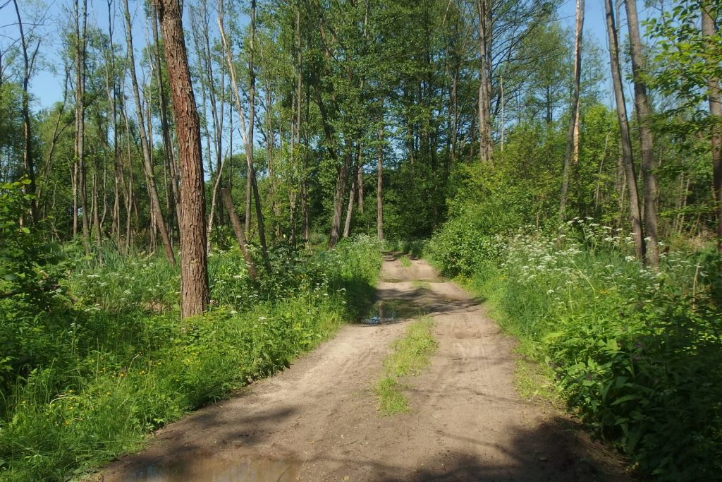 siedlce warszawa trasa rowerowa