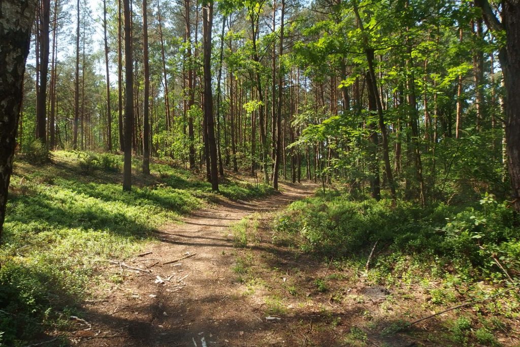 siedlce warszawa trasa rowerowa