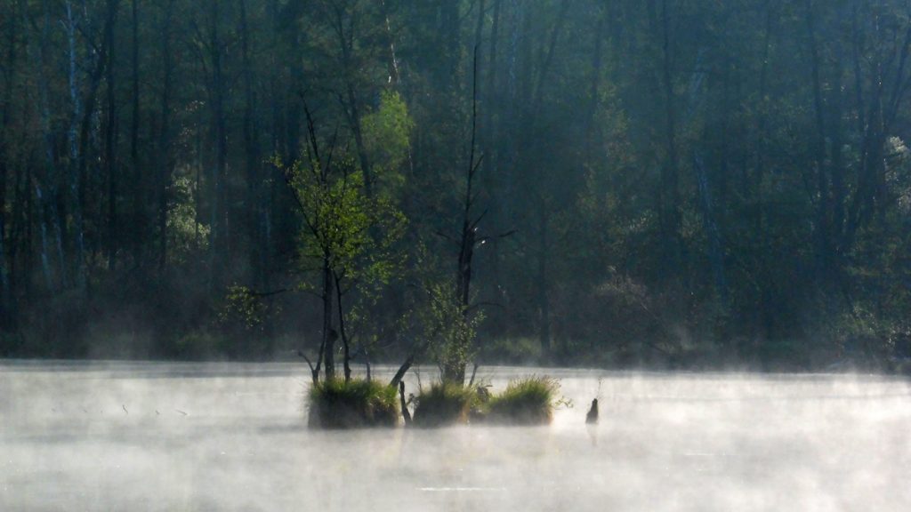 jezioro torfy, mazowiecki park krajobrazowy