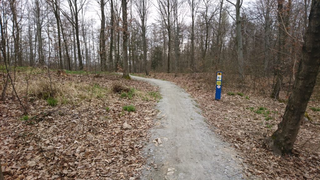 singletrack strzelin, beginning of S3 route