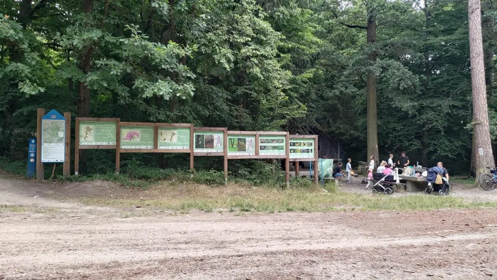 wiata na singletrackach strzelin