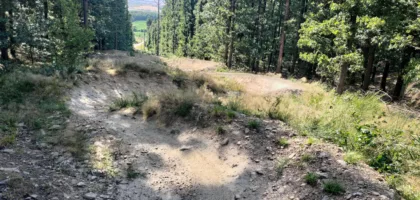 singletrack S1 strzelin, po zmianach