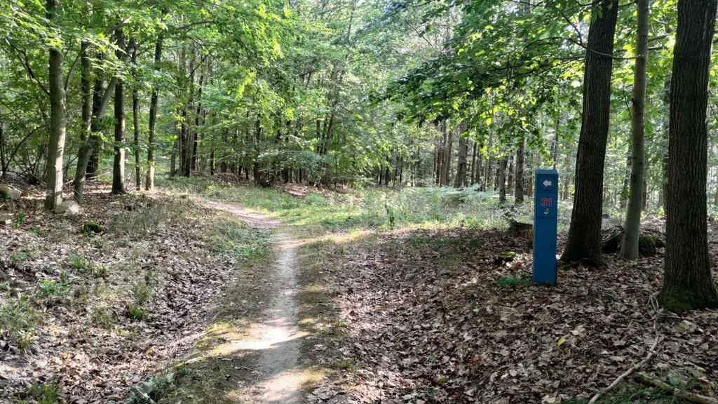 singletracki strzelin podjazd