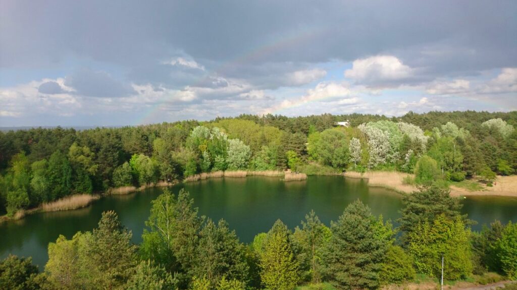 widok z wieży widokowej w mosinie