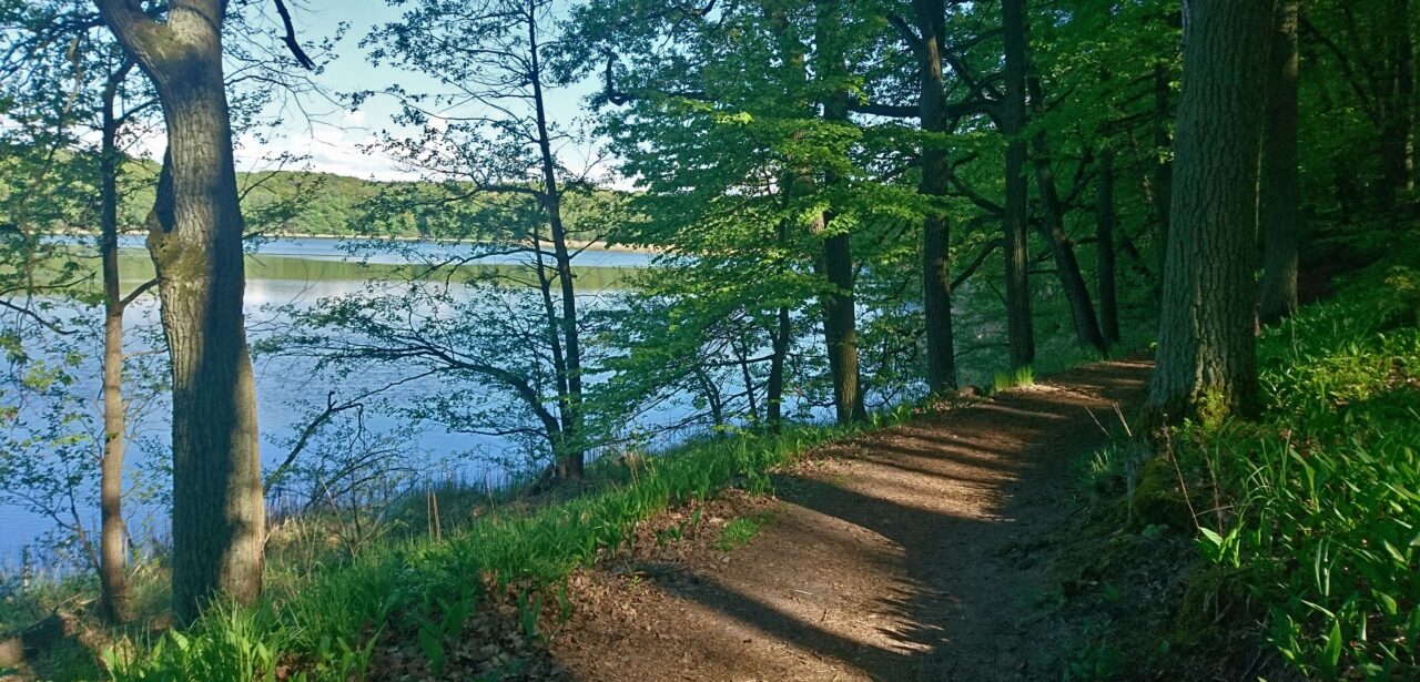 wielkopolski park narodowy