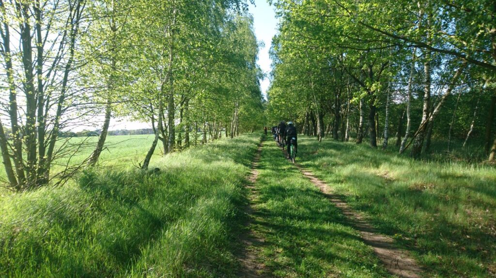 wielkopolski park narodowy na rowerze