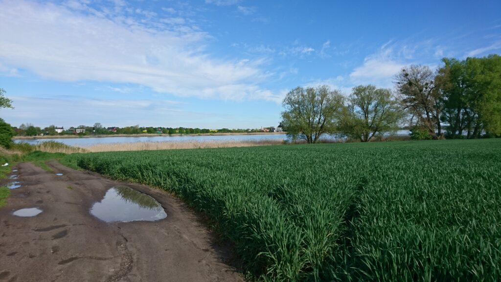 bytyń lake