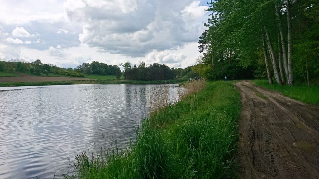 lake in łężce