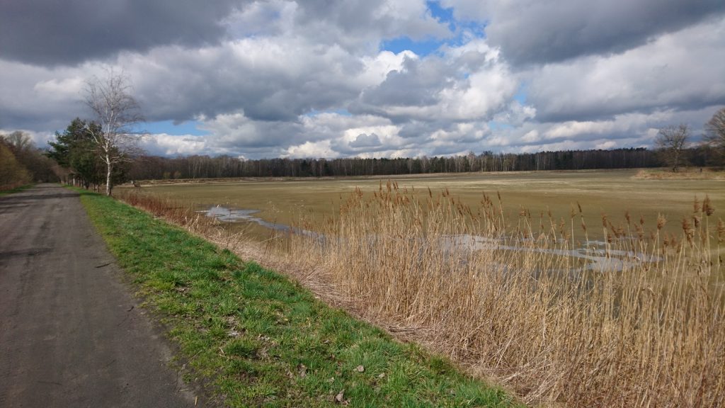 turoń bicycle trail - bielawski pond