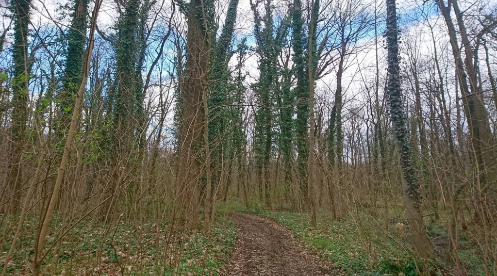 turoń bicycle trail - domaszczyn