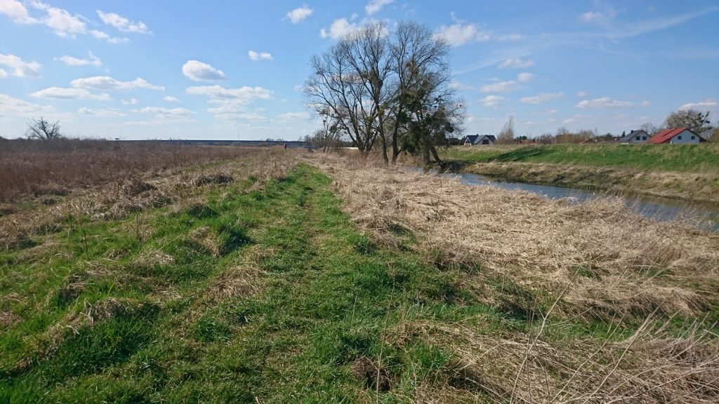 turoń bicycle trail along widawa