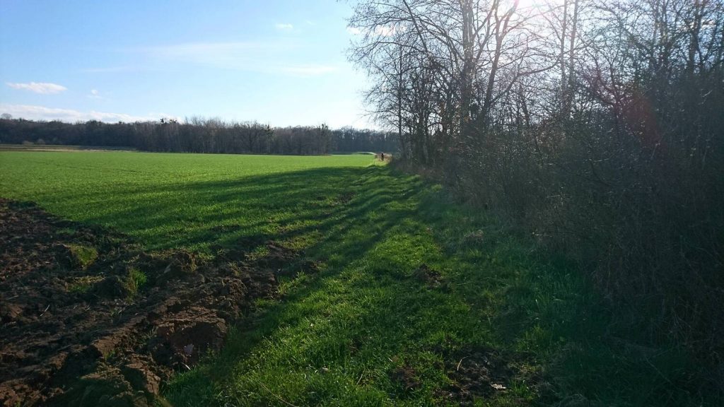 turoń bicycle trail - kotowice