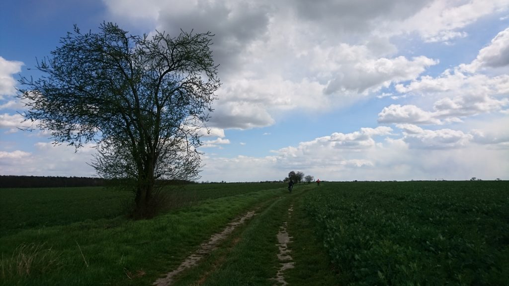 turoń bicycle trail, close to lutynia