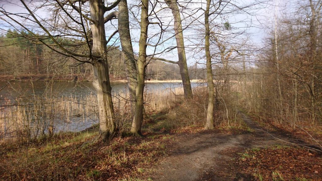 turoń bicycle trail - dziewicze lake