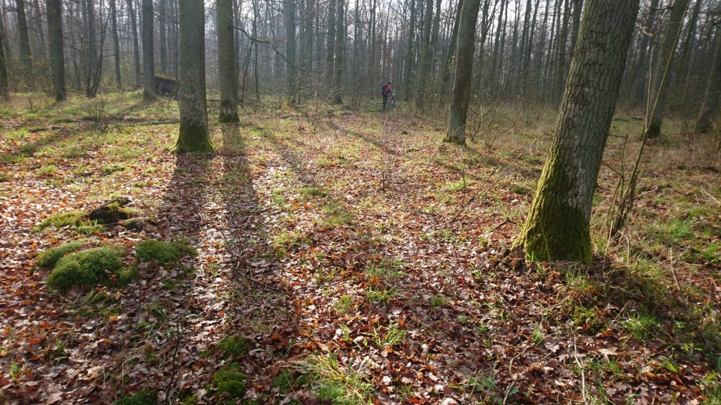 turoń bicycle trail - kotowice