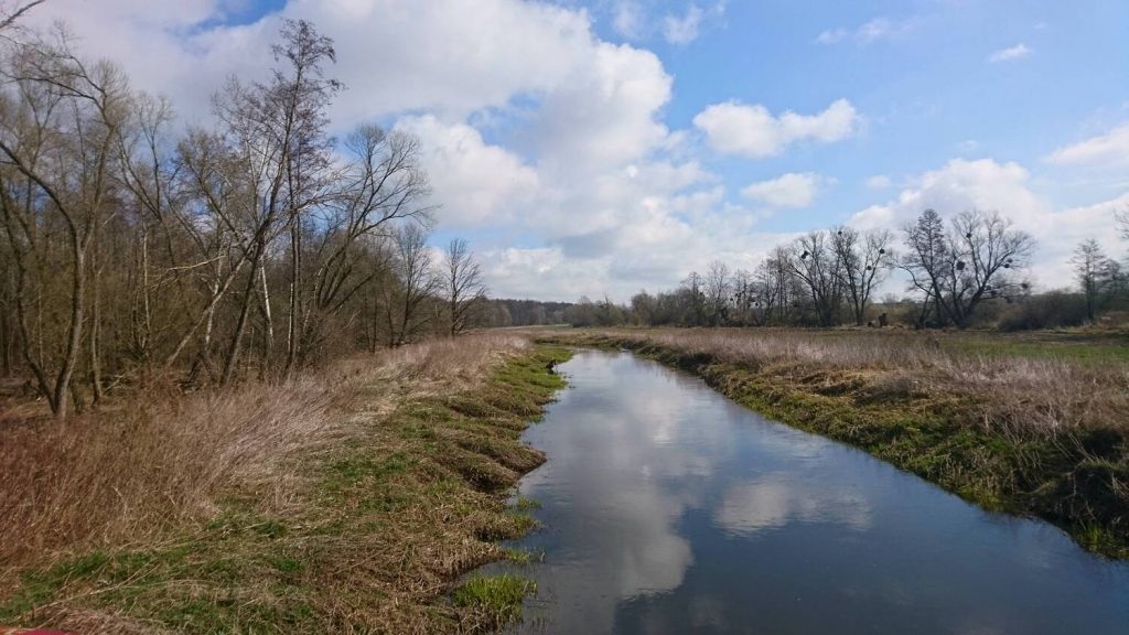 turoń bicycle trail - widawa river