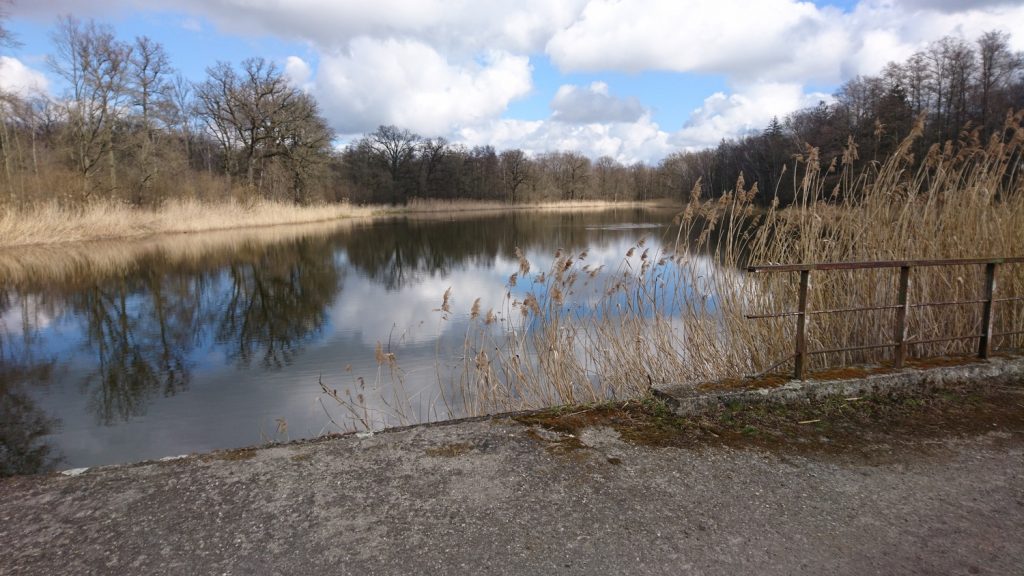 turoń bicycle trail - rakowski pond