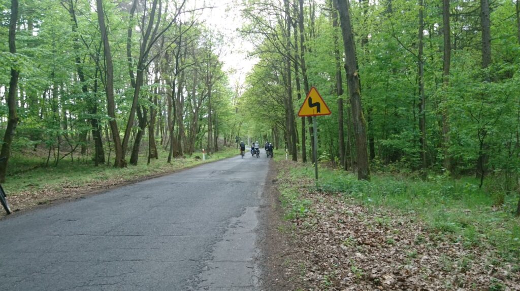 asphalt road close to sieraków