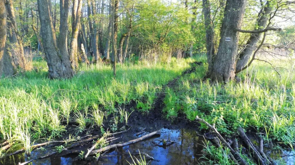 black hiking trail