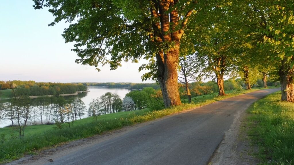 view on drawsko lake