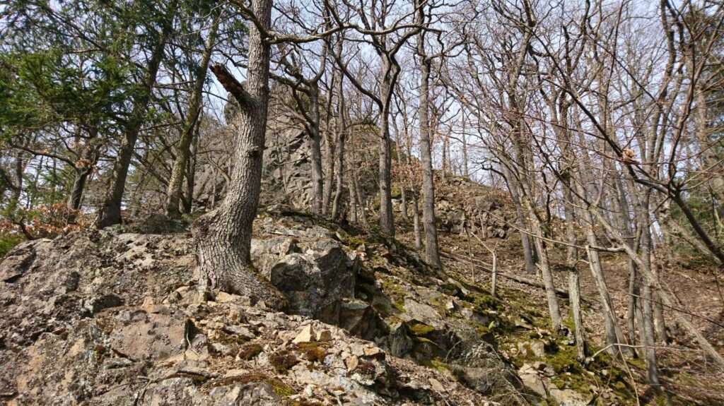 pełcznica, another rock