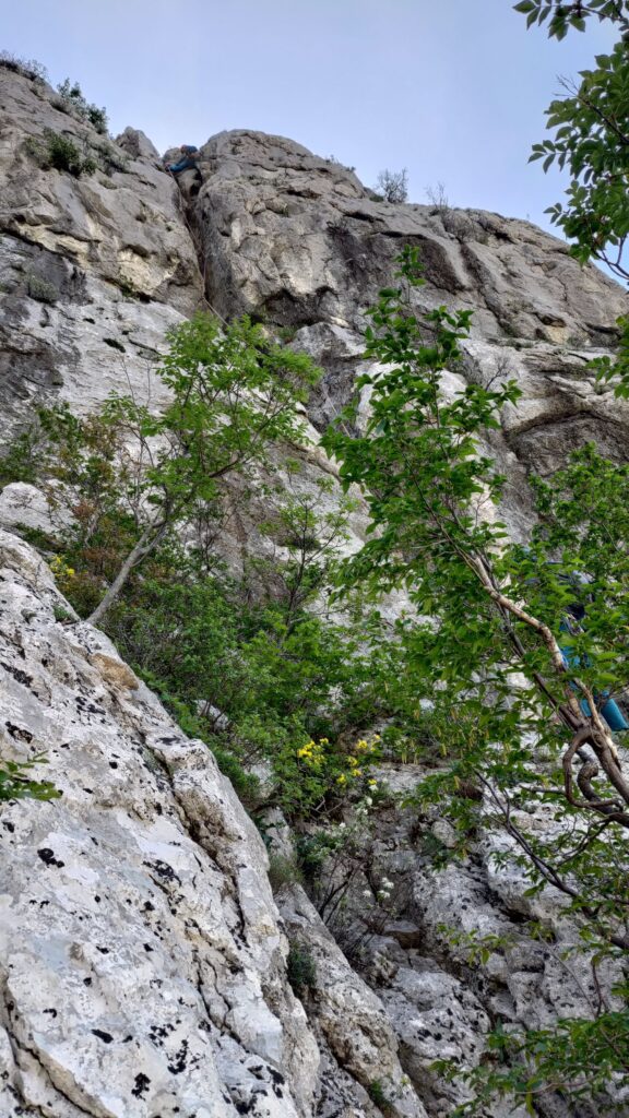 Bračni smjer, paklenica, climbing