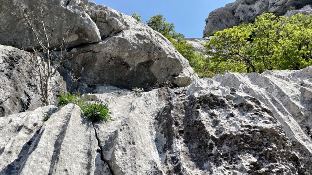 Bračni smjer, paklenica, climbing