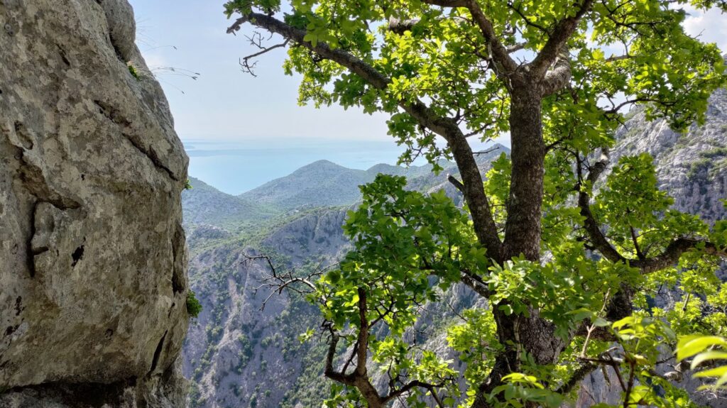 Bračni smjer, paklenica, climbing