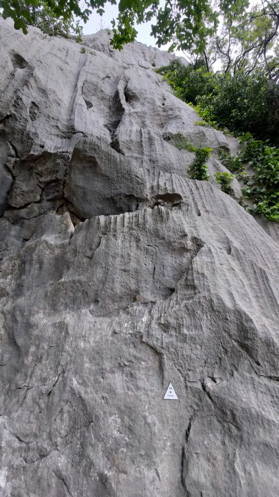 spit bull, paklenica, climbing