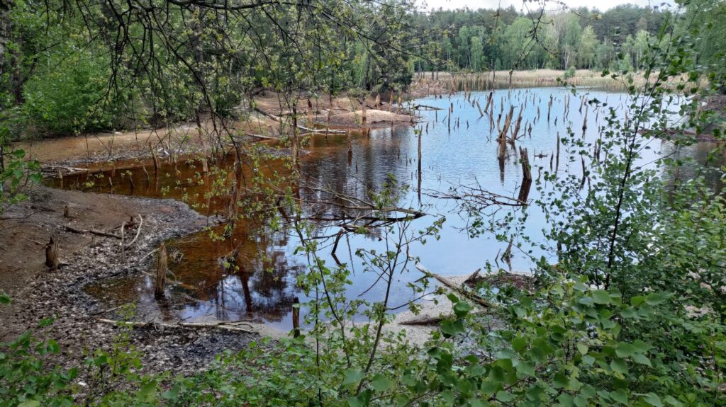 geopark łuk mużakowa