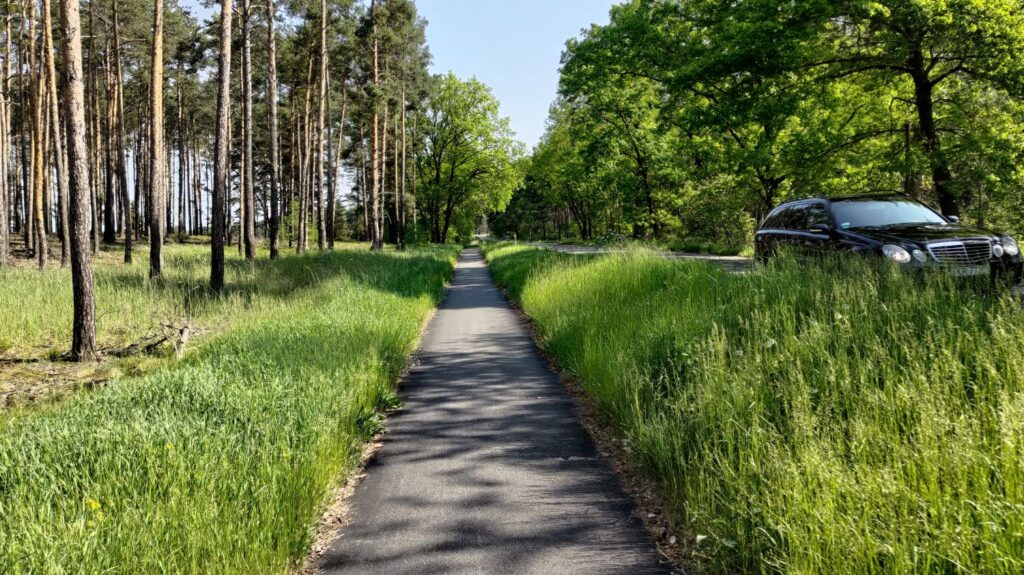 ścieżka rowerowa, gubin