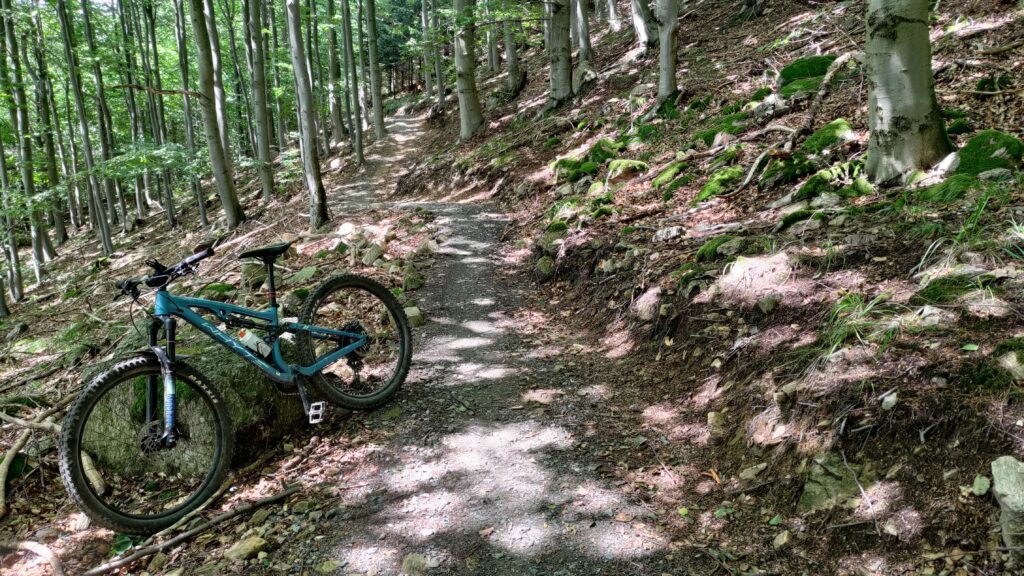 single track glacensis