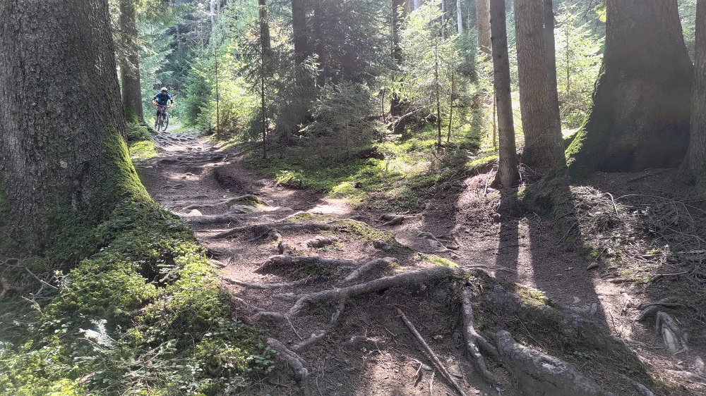 fleckalm trail