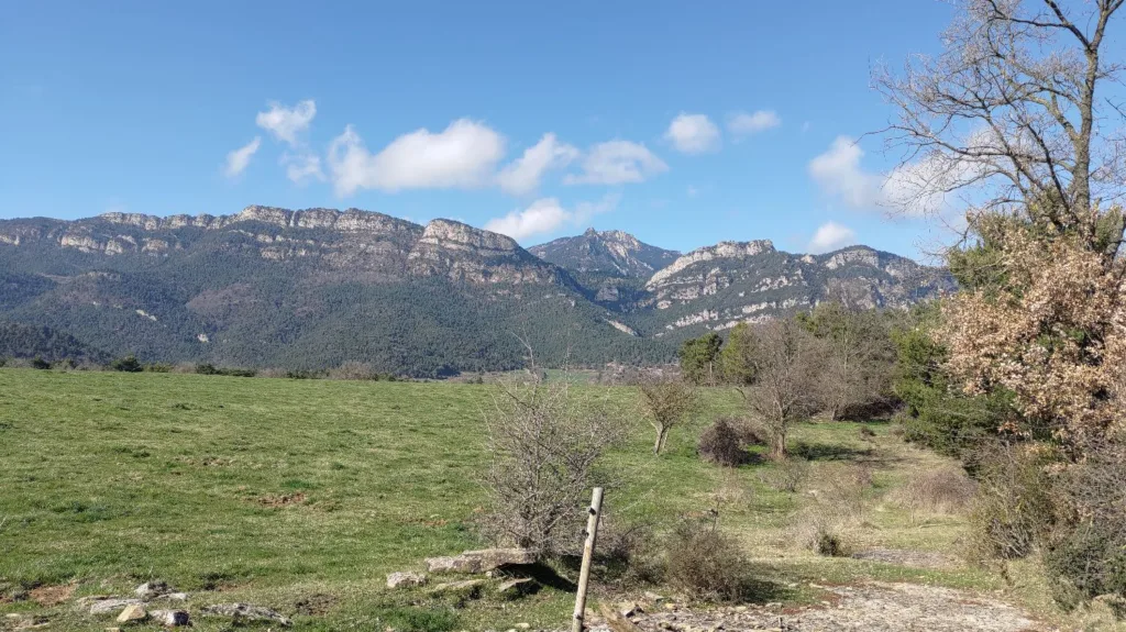 Access road to Molinot enduro trail