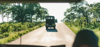 kruger national park
