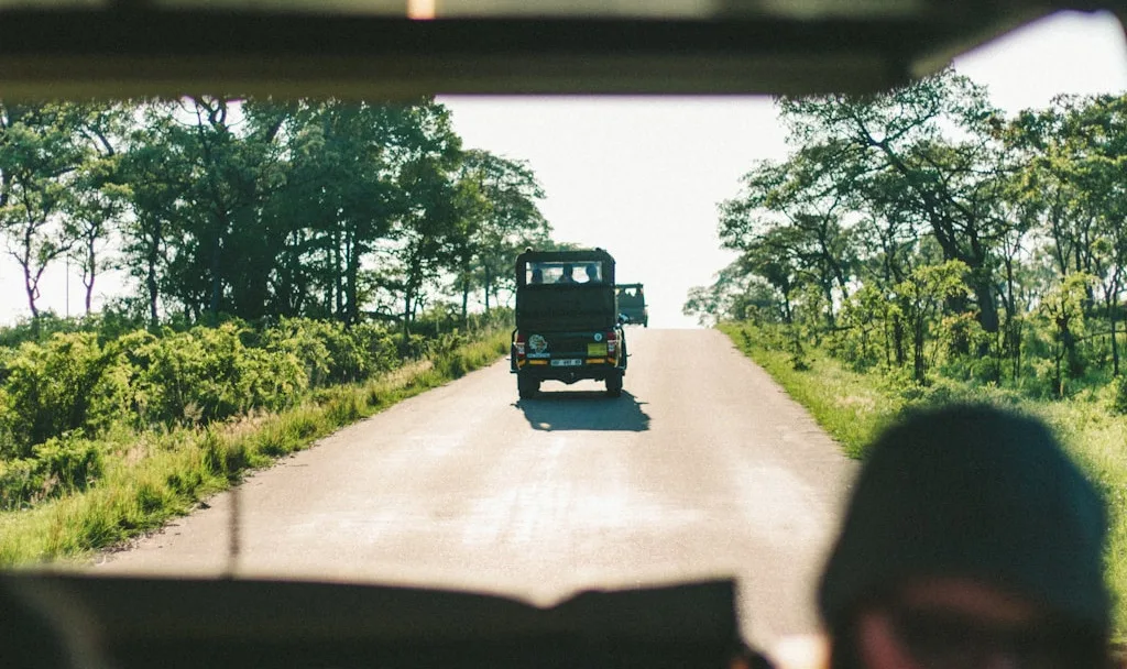 kruger national park
