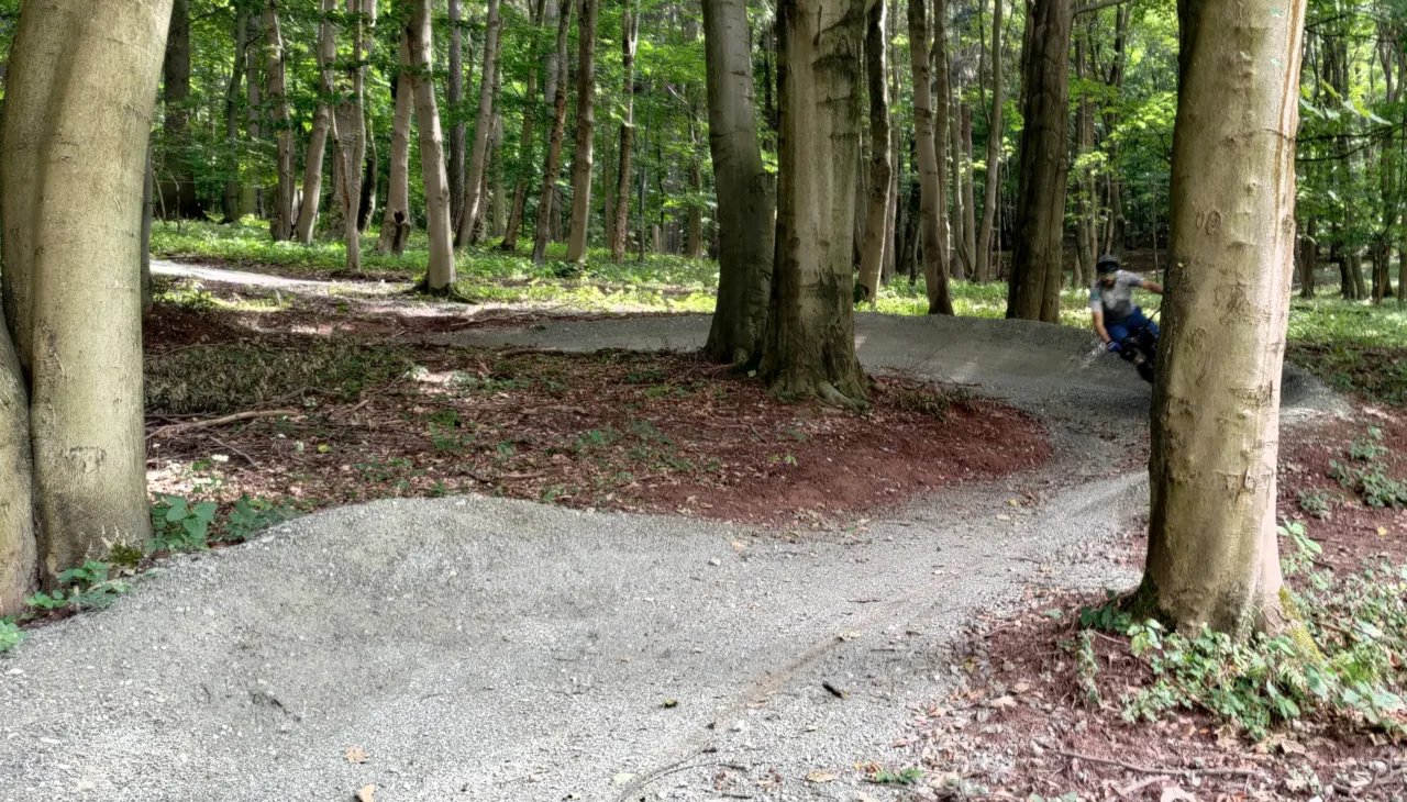 singletrack nowa ruda